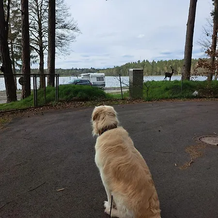 Sonnenpark 44 * ローディング