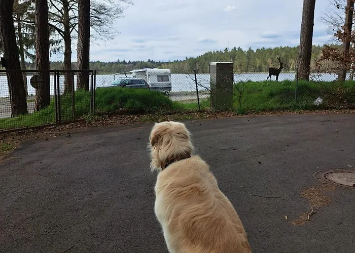 Sonnenpark 44 * 罗丁